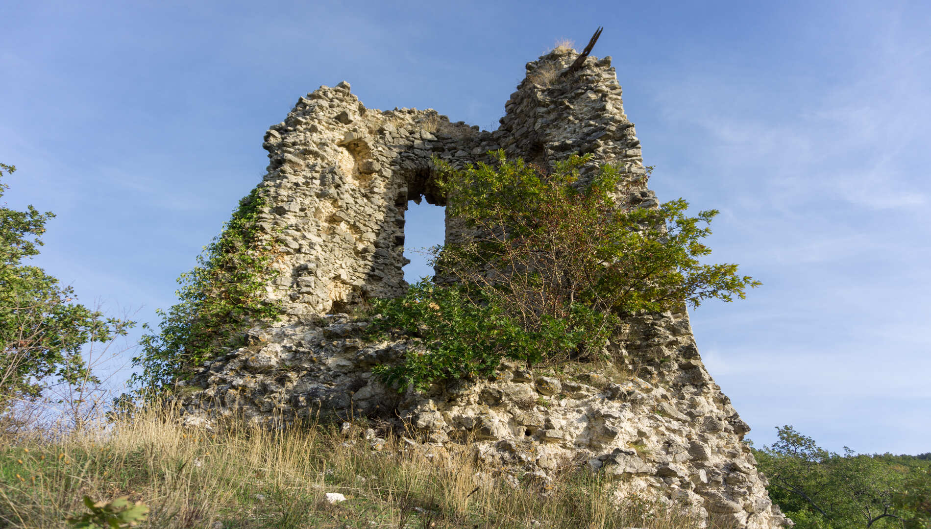 Torre di Santa Croce di Magliano